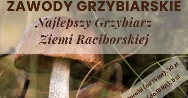 Urząd Miasta Racibórz zaprasza miłośników grzybów na zawody o tytuł „Najlepszego Grzybiarza Ziemi Raciborskiej”. Zbiórka odbędzie się 11 października przy Zabytkowej Stacji Kolejki Wąskotorowej w Rudach.
